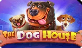 Magius Casino – The Dog House